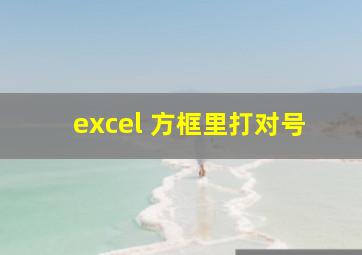 excel 方框里打对号